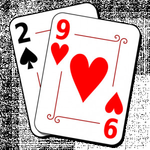 29 Card Game