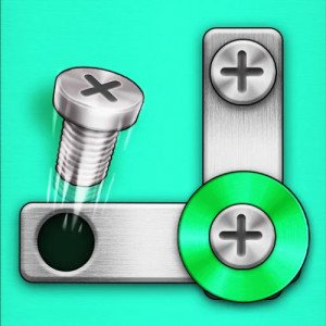 Screw Puzzle - Nuts and Bolts