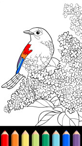 Coloring Book (by playground)