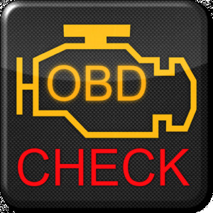 Torque Pro (OBD 2 & Car)