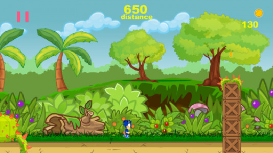 sonic dash