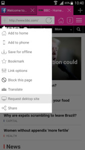 Aon Browser, Adblock Mini