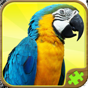 Animal Puzzle Games