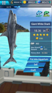 Fishing Championship